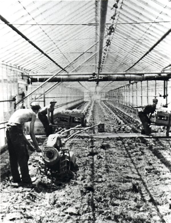 Columbia Greenhouse Program
