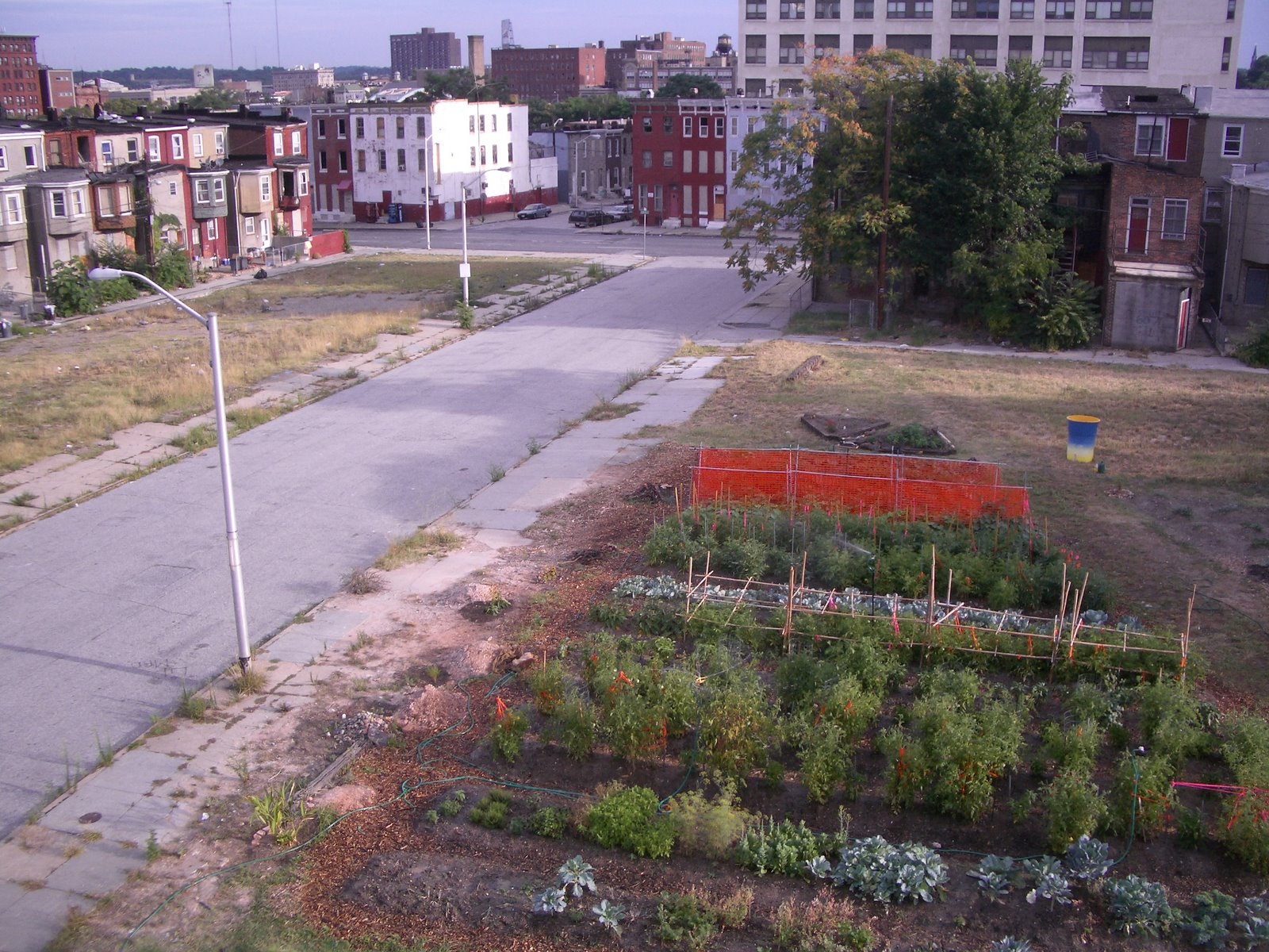 What Is Urban Agriculture Sprouts In The Sidewalk